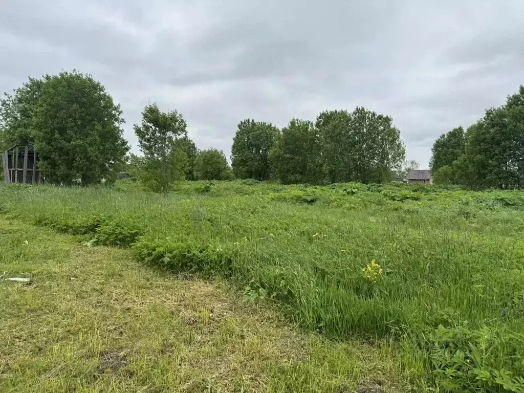 Участок в Ленинградская область, Волосовский район, Большеврудское ... - Фото 1
