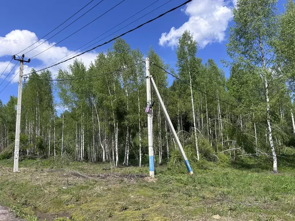 Участок в Московская область, Клин городской округ, д. Богаиха, д. ... - Фото 2