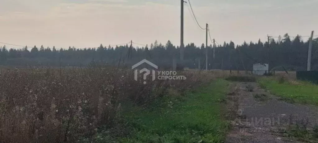 Участок, 15 сот., сельхоз (снт или днп) - Фото 1