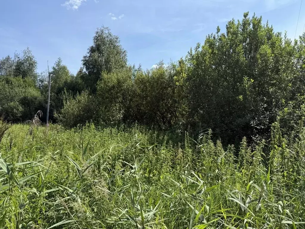 Участок в Московская область, Орехово-Зуевский городской округ, пос. ... - Фото 0