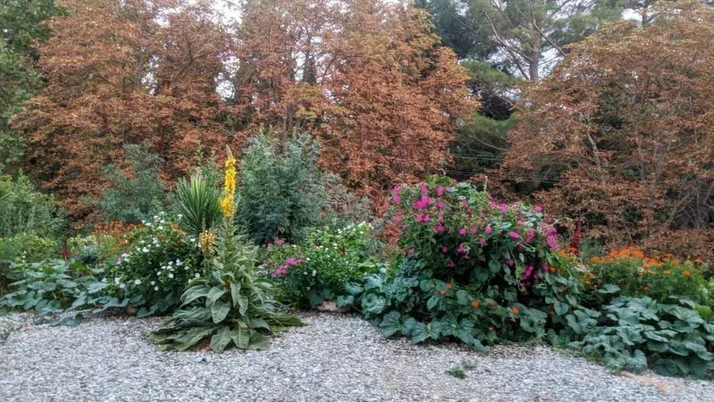 Дом в Крым, Ялта ул. Большевистская, 5 (140 м) - Фото 2