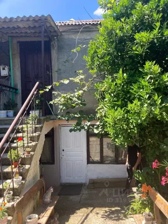 Участок в Краснодарский край, Сочи городской округ, с. Черешня  (15.0 ... - Фото 1