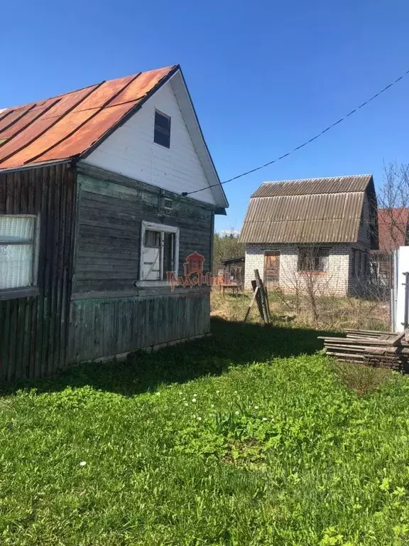 Участок в Владимирская область, Александровский район, Каринское ... - Фото 1