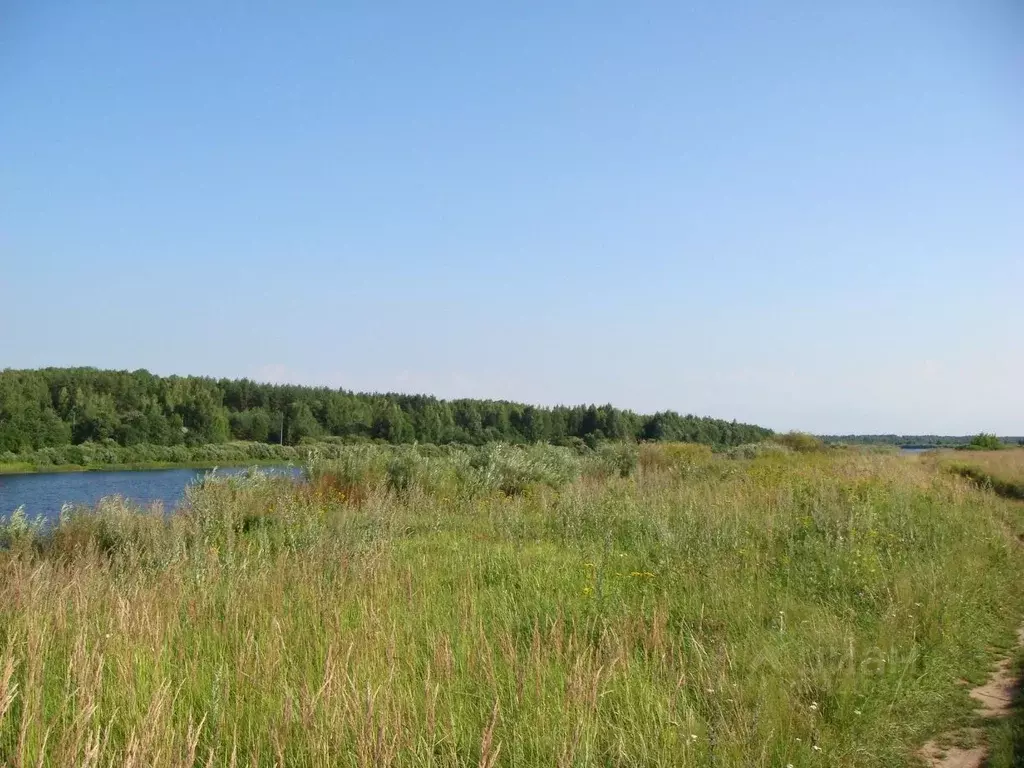 Участок в Псковская область, Палкинский район, д. Лещихино  (930.0 ... - Фото 1