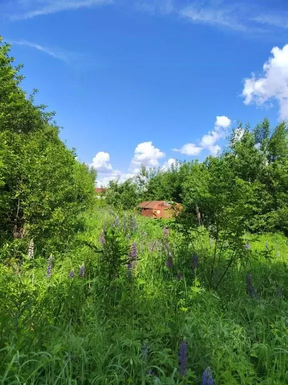 Участок в Орловская область, Орел Буревестник СНТ,  (20.0 сот.) - Фото 1