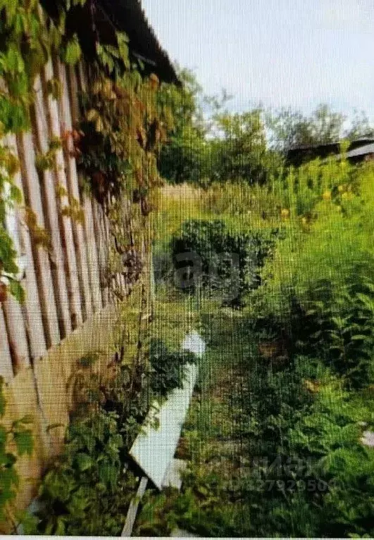 Дом в Тверская область, Тверь Восход СНТ, 44 (20 м) - Фото 1