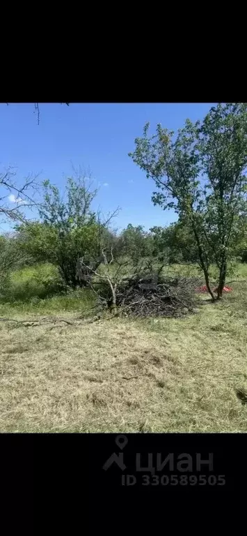 Участок в Ростовская область, Новочеркасск № 16 садовое товарищество, ... - Фото 2