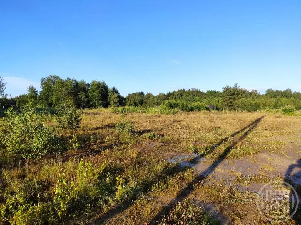 Участок в Ленинградская область, Всеволожский район, Лесколовское ... - Фото 2