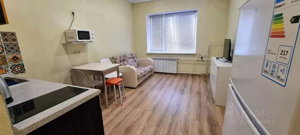 Студия Московская область, Пушкинский городской округ, с. Тарасовка ... - Фото 1