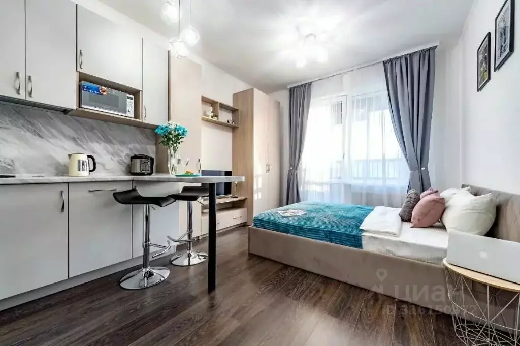 1-к кв. Санкт-Петербург Светлановский просп., 8 (25.0 м) - Фото 0