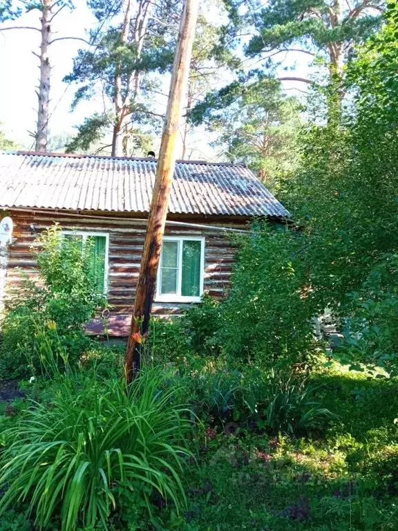 Дом в Алтай, Майминский район, с. Манжерок Совхозная ул., 4 (40 м) - Фото 1