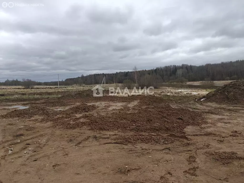 Участок в Вологодский муниципальный округ, деревня Мольбища, 36А ... - Фото 1