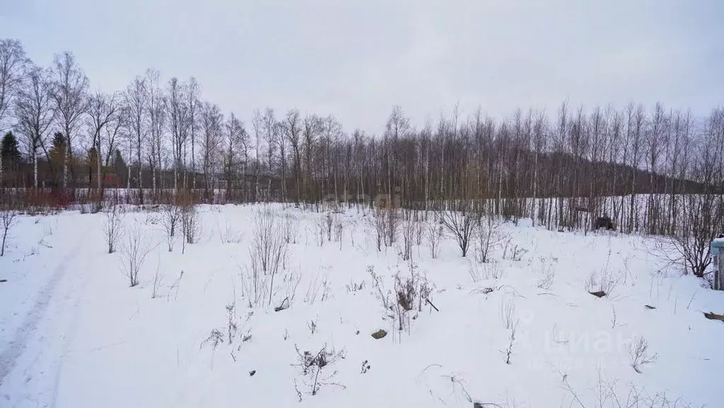 Участок в Санкт-Петербург пос. Парголово, Михайловка тер.,  (150.0 ... - Фото 1