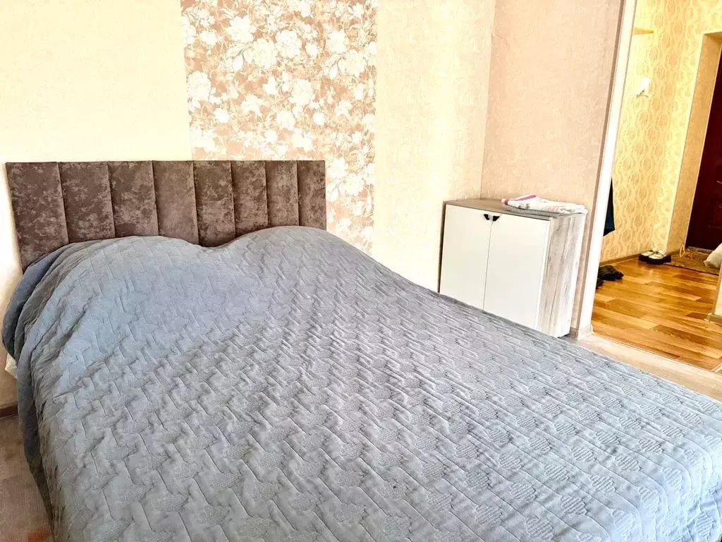 1-к кв. Еврейская автономная область, Биробиджан ул. Чапаева, 21А ... - Фото 1