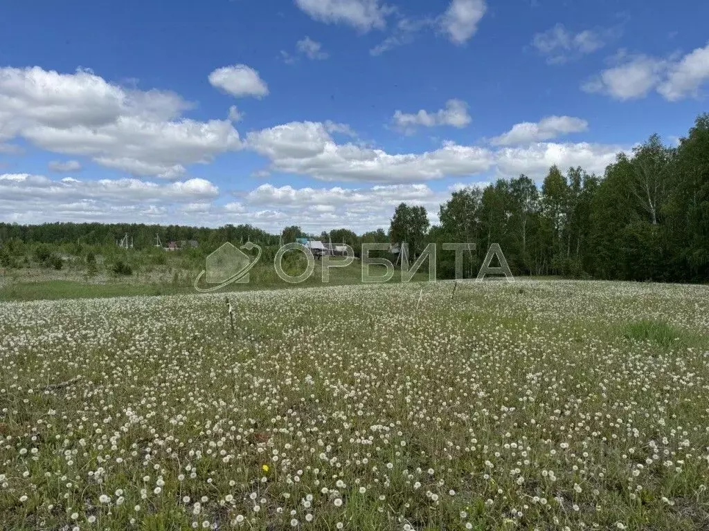 Участок в Тюменская область, Тюменский район, с. Каменка  (6.0 сот.) - Фото 0