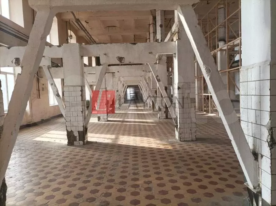 Сдам помещение свободного назначения, 875 м - Фото 1