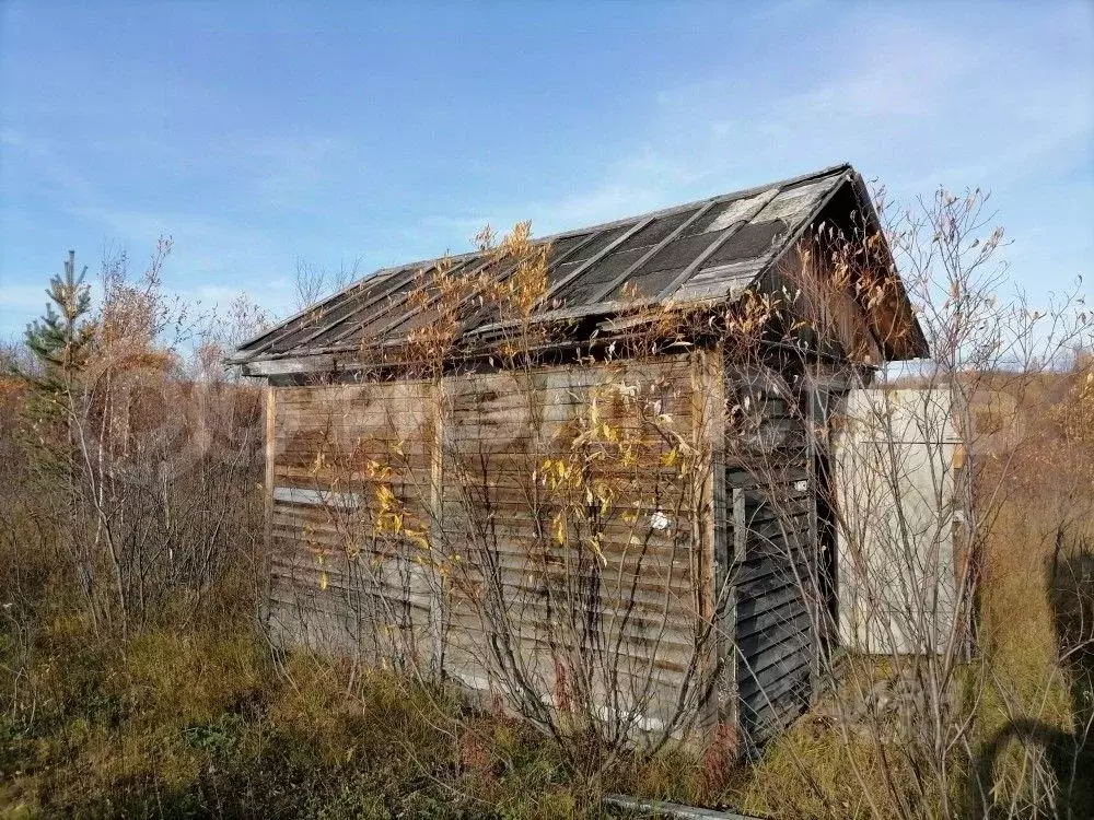 Участок в Мурманская область, Кольский район, Кильдинстрой городское ... - Фото 0