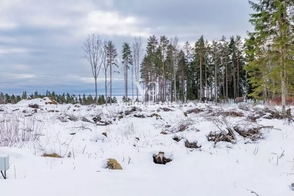 Участок, 19 сот., поселения (ижс) - Фото 1