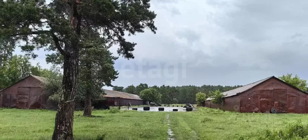 Склад в Новосибирская область, Мошковский район, с. Мотково Школьная ... - Фото 1