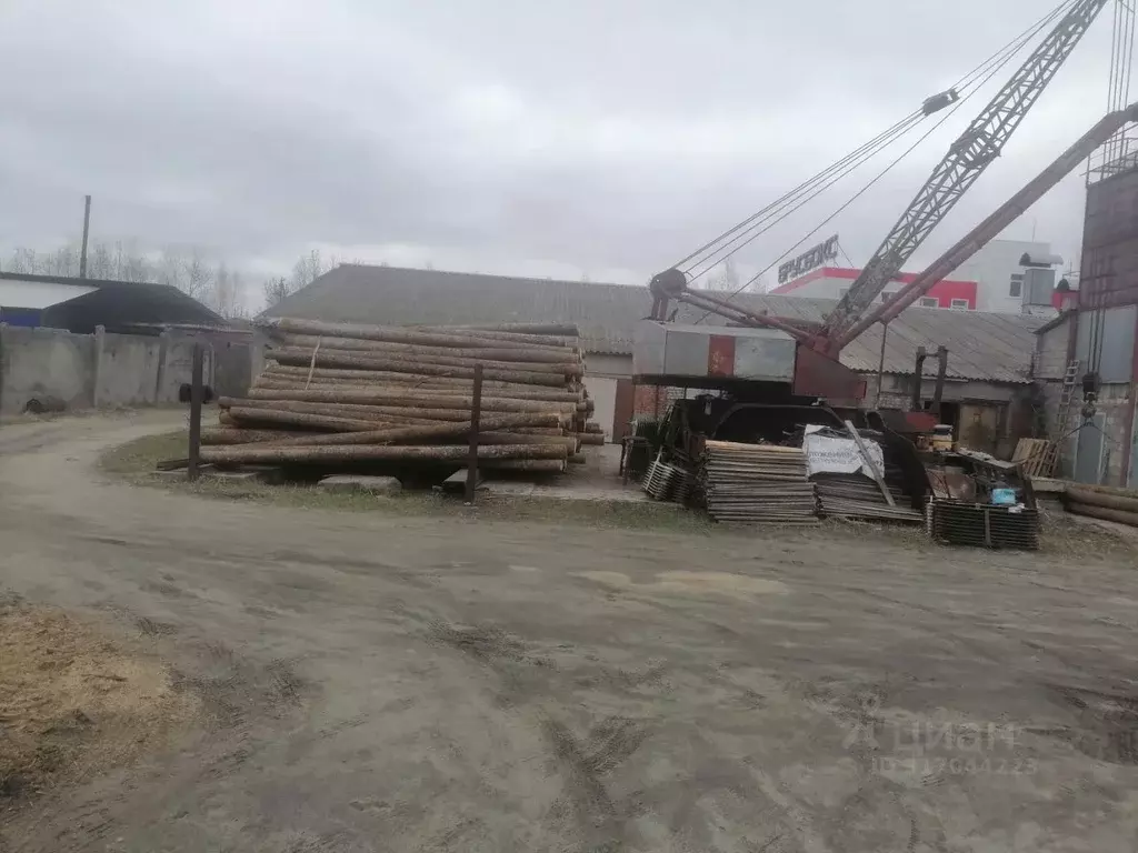 Помещение свободного назначения в Брянская область, Брянск Большое ... - Фото 0