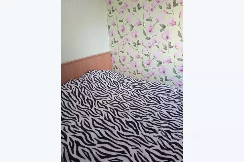 2-к кв. Вологодская область, Великий Устюг проезд 3-й РМЗ, 6 (25.0 м) - Фото 2