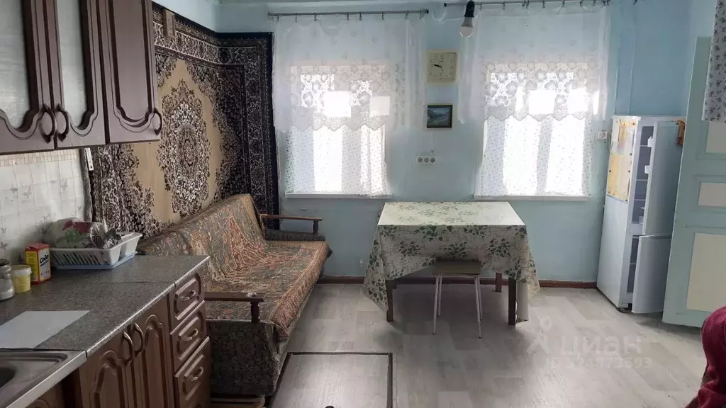 Дом в Курганская область, Петуховский муниципальный округ, с. Новое ... - Фото 2