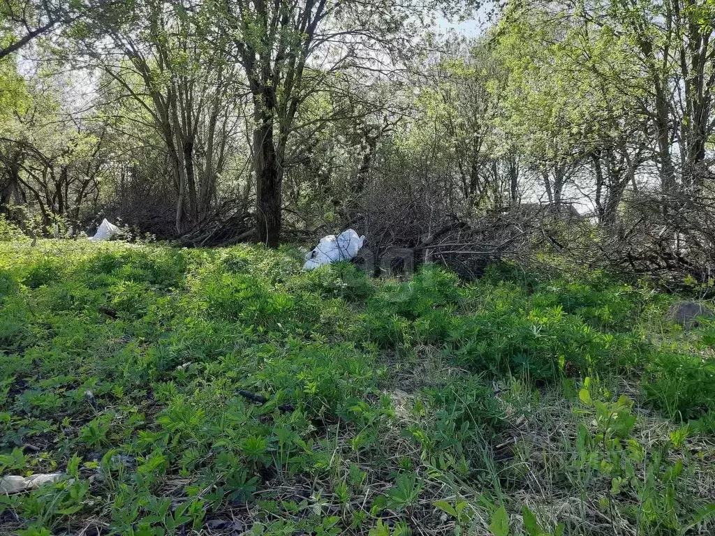 Участок в Смоленская область, Смоленск Березка СНТ,  (9.3 сот.) - Фото 1