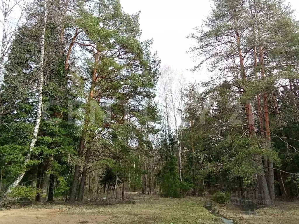 Участок в Московская область, Химки Сходня Форест Парк кп,  (6.0 сот.) - Фото 0