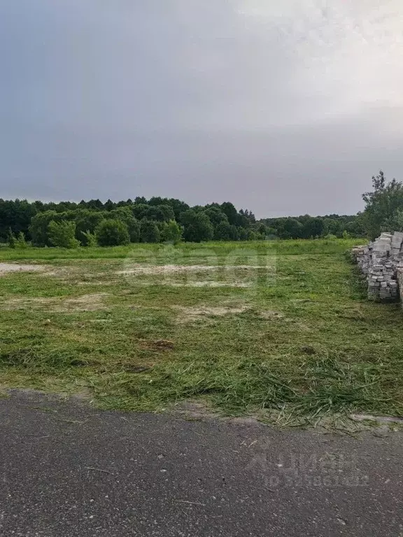 Участок в Брянская область, Брянский район, Новодарковичское с/пос, д. ... - Фото 2