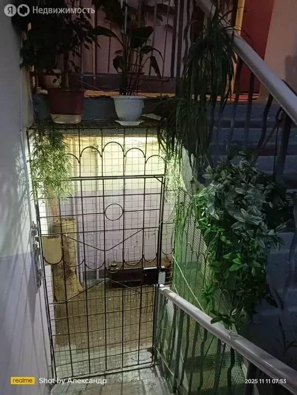 1-комнатная квартира: Кострома, улица Сутырина, 22 (19 м) - Фото 2