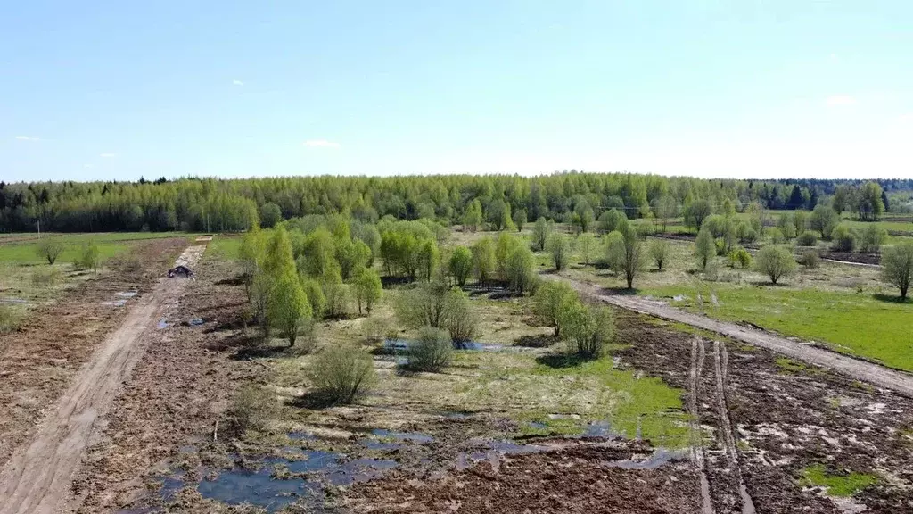Участок в Московская область, Клин городской округ, Коськово кп 247 ... - Фото 1