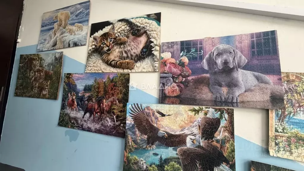 2-к кв. Московская область, Воскресенск Цемгигант мкр, ул. Беркино, 35 ... - Фото 2