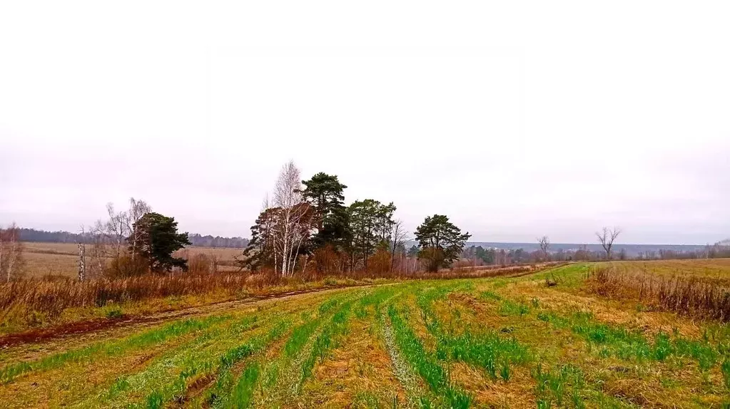 Участок в Калужская область, Жуковский муниципальный округ, Троицкое ... - Фото 1