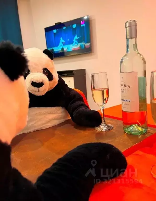 Студия Нижегородская область, Нижний Новгород ул. Маршала Баграмяна, 2 ... - Фото 2