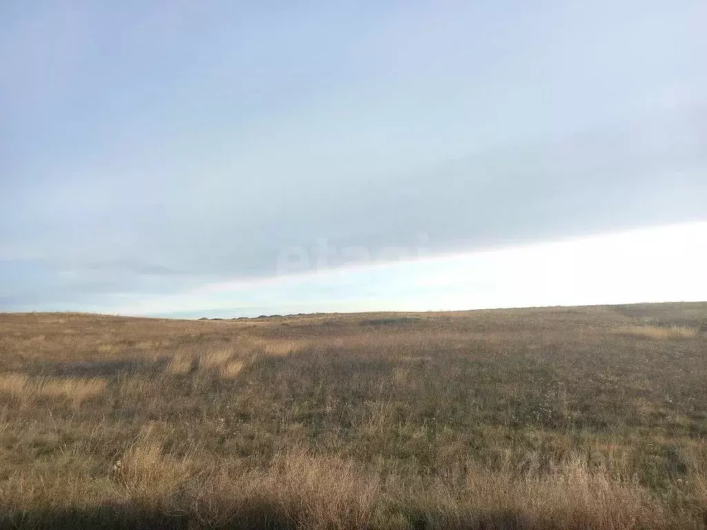 Участок в Крым, Ленинский район, Семисотское с/пос, с. Каменское ул. ... - Фото 1