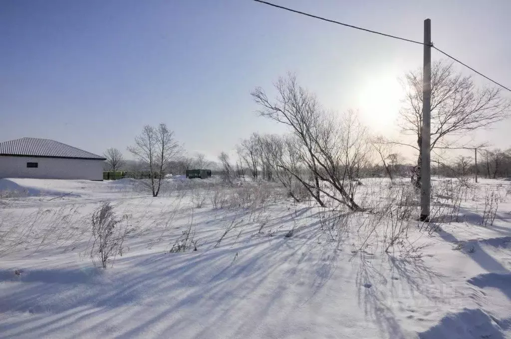 Участок в Сахалинская область, Анивский городской округ, с. ... - Фото 1