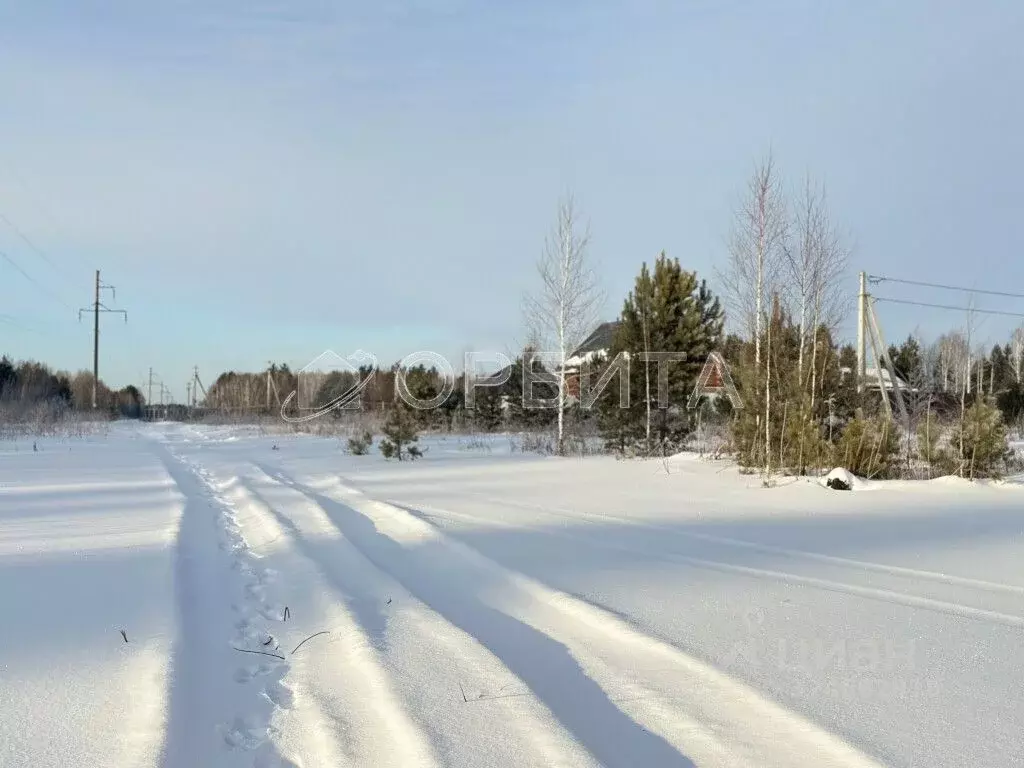 Участок в Тюменская область, Тюменский муниципальный округ, д. Чаплык  ... - Фото 1