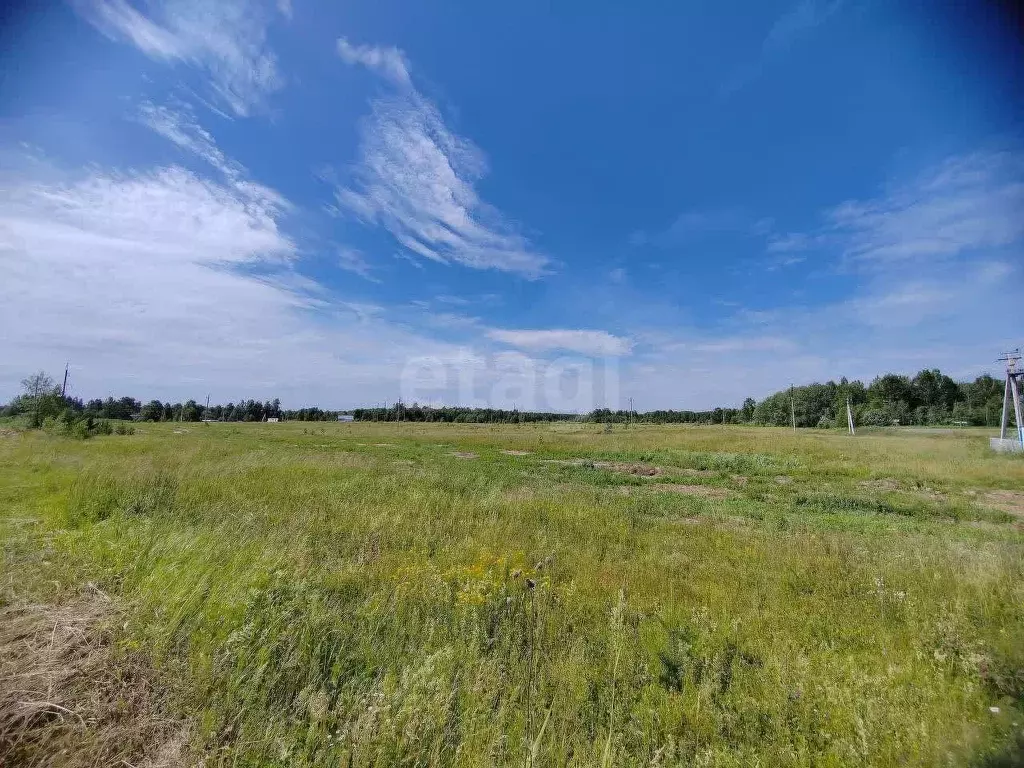 Участок в Тюменская область, Нижнетавдинский муниципальный округ, пос. ... - Фото 1