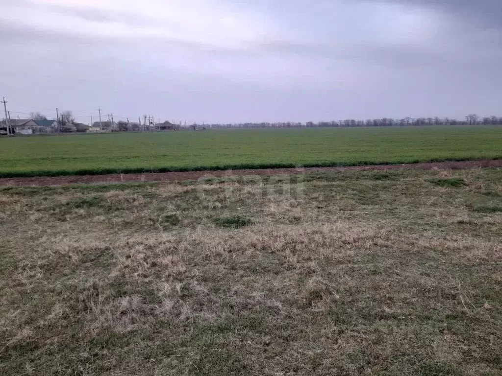 Участок в Крым, Феодосия муниципальный округ, Приморский пгт ул. ... - Фото 2