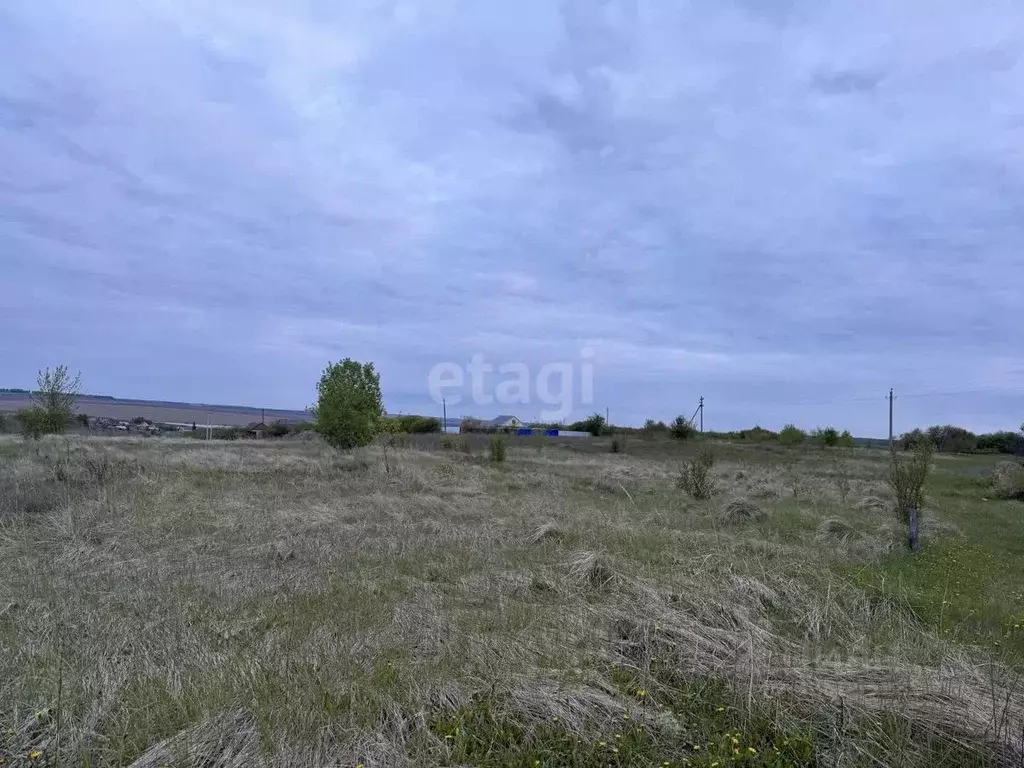 Участок в Мордовия, Большеберезниковский район, с. Нерлей Центральная ... - Фото 1