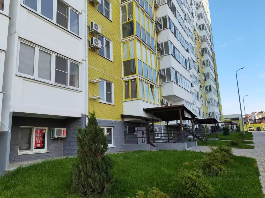 Офис в Краснодарский край, Анапа ул. Ленина, 235 (20 м) - Фото 1