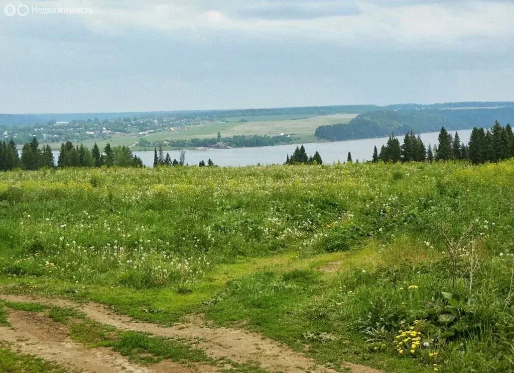 Участок в Свердловская область, Шалинский муниципальный округ, село ... - Фото 1