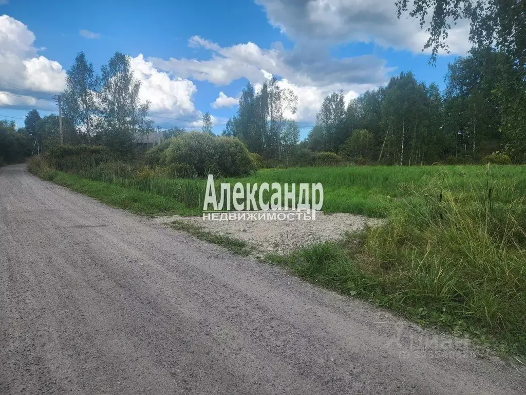 Участок в Ленинградская область, Приозерский район, Ларионовское ... - Фото 2