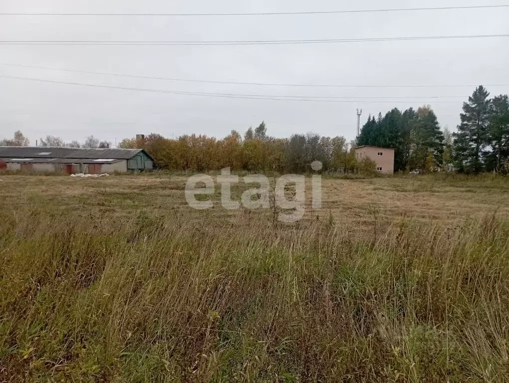 Участок в Костромская область, Красносельский район, Шолоховское ... - Фото 0