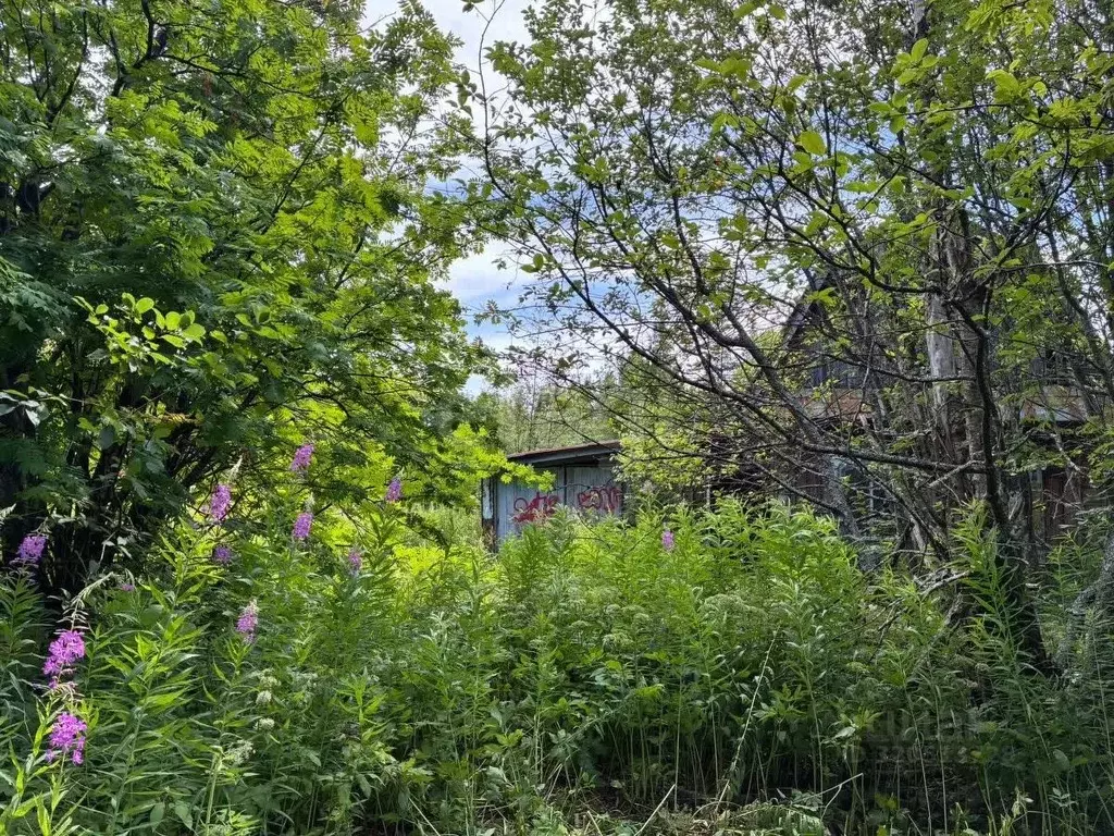 Участок в Свердловская область, Нижний Тагил муниципальный округ, пос. ... - Фото 1