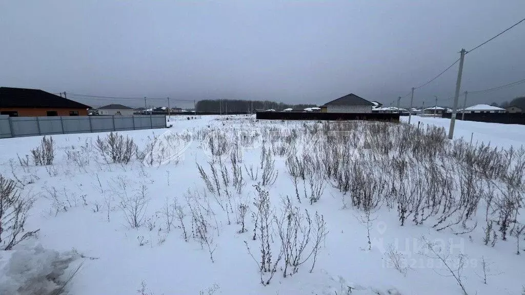 Участок в Тюменская область, Тюменский район, с. Кулига, Сказка кп  ... - Фото 2