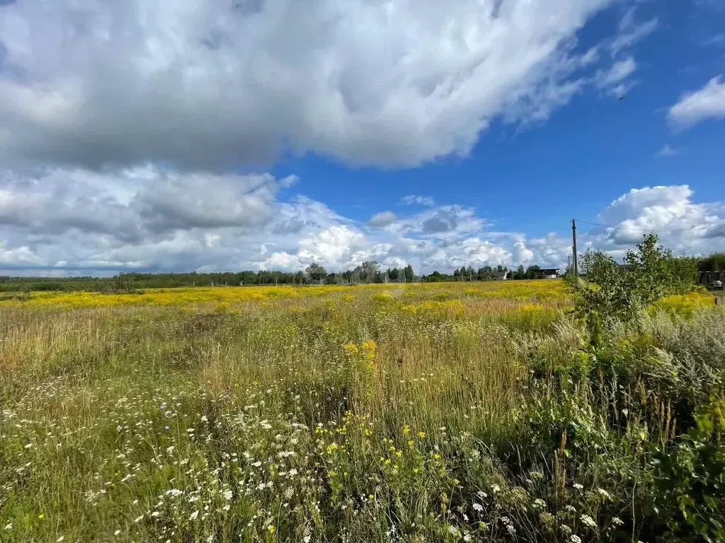 Участок в Нижегородская область, Кстовский муниципальный округ, д. ... - Фото 0