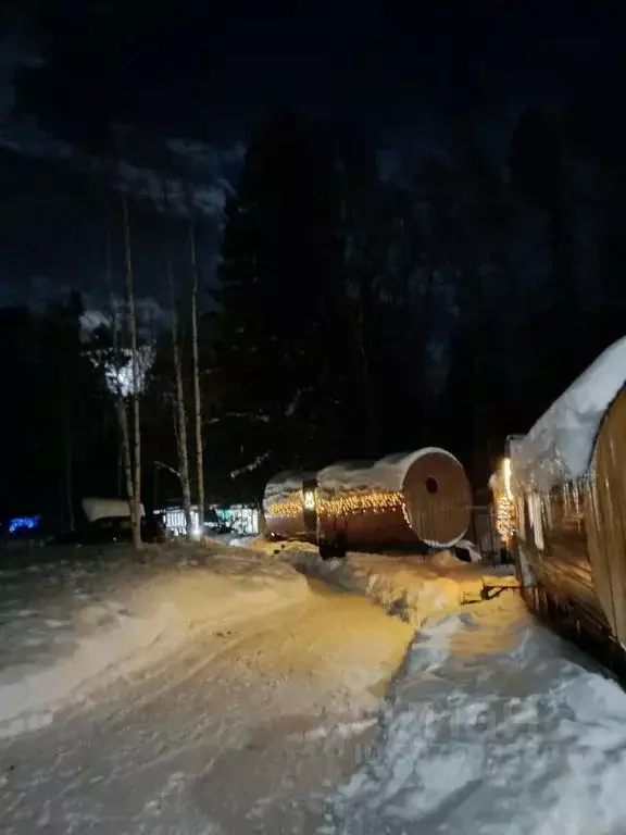 Дом в Нижегородская область, Городецкий муниципальный округ, Большой ... - Фото 1