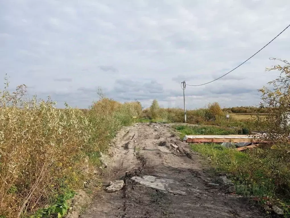 Участок в Тюменская область, Тюменский район, д. Есаулова  (10.0 сот.) - Фото 0