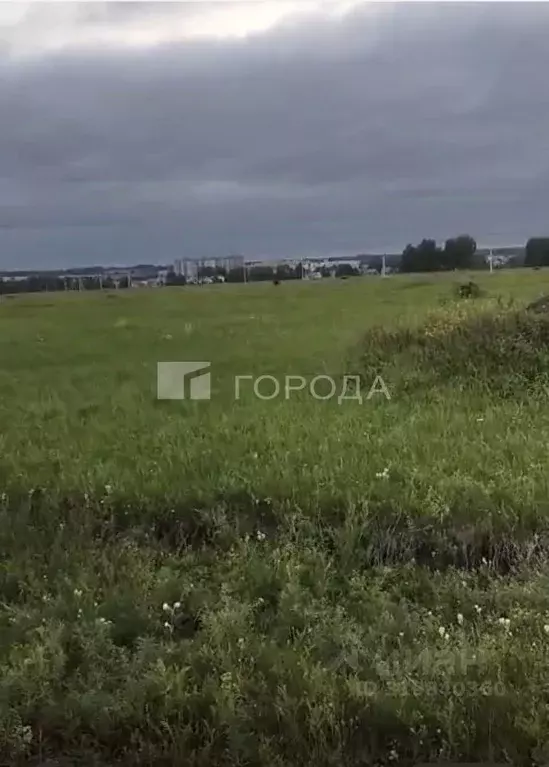 Участок в Новосибирская область, Новосибирский район, Морской ... - Фото 0